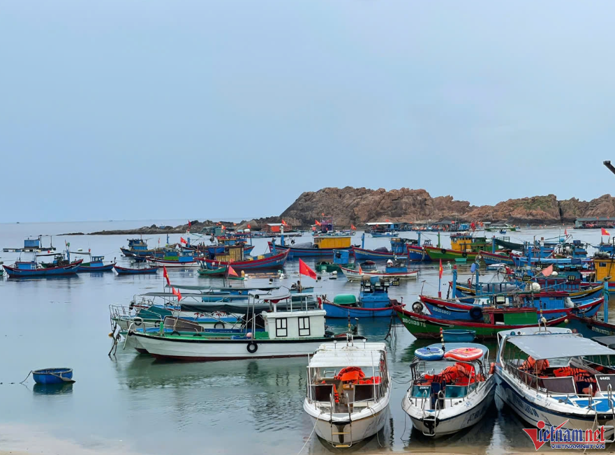 Thành phố Hồ Chí Minh: Sẽ tạo đột phá về kinh tế biển sau sáp nhập